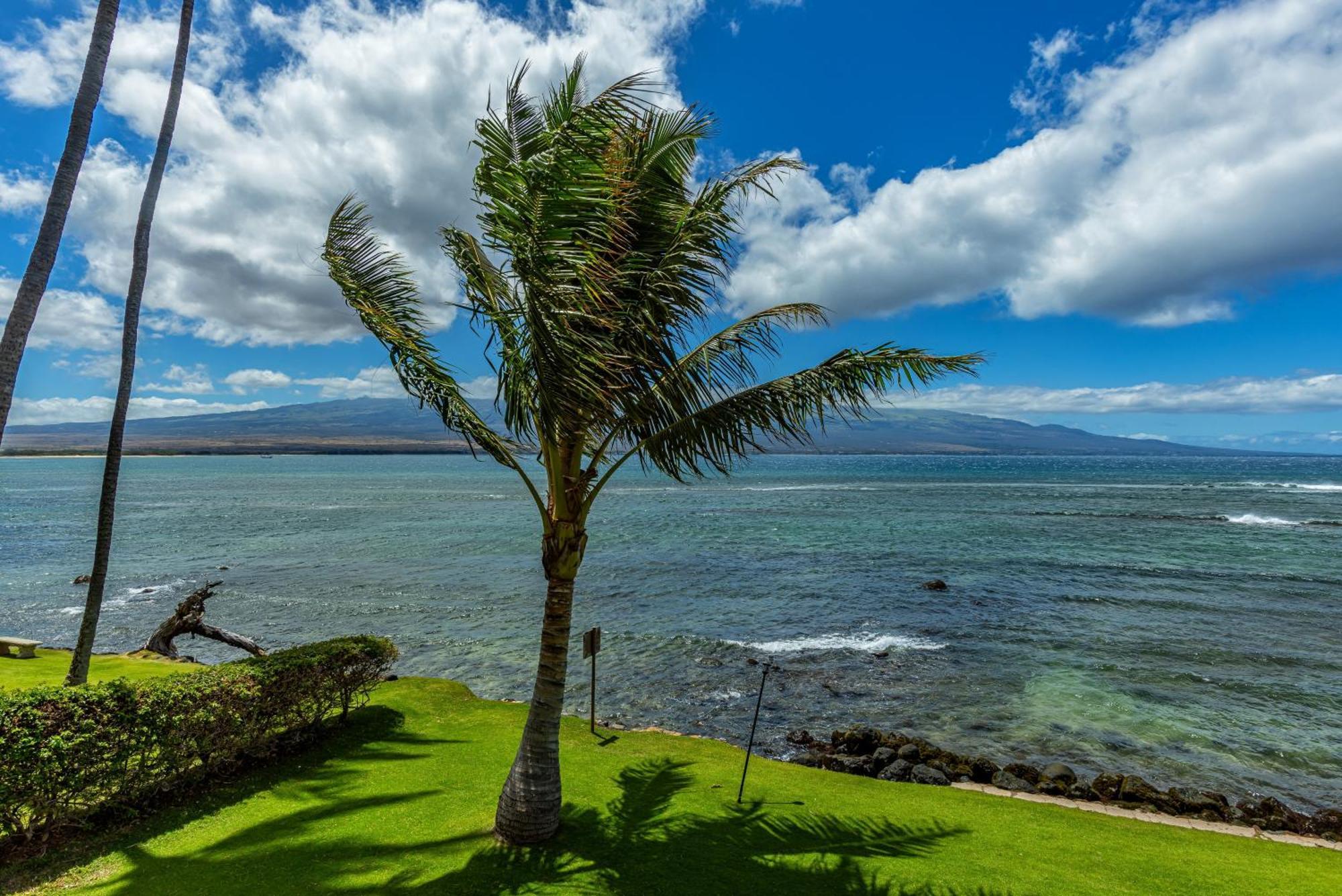 Maalaea Kai 220 Vila Wailuku Exterior foto